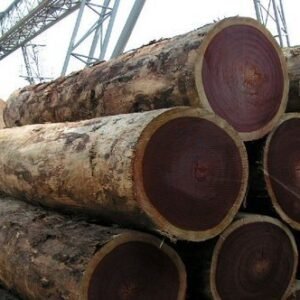 Azobe Wood Logs