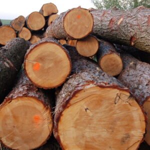 Hemlock Wood Logs