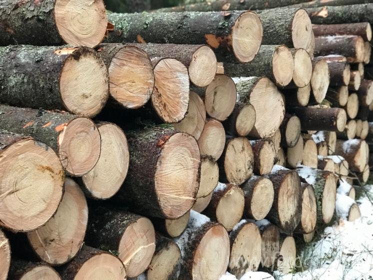 Spruce Wood Logs